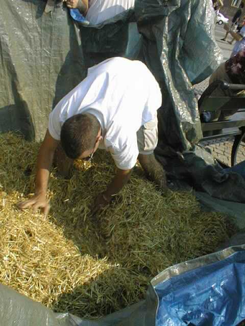Quite literally searching for a needle in a haystack